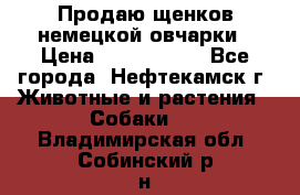 Продаю щенков немецкой овчарки › Цена ­ 5000-6000 - Все города, Нефтекамск г. Животные и растения » Собаки   . Владимирская обл.,Собинский р-н